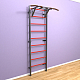 картинка Шведская стенка "LittleSport" Pull-Up (черный*красный) от магазина Лазалка