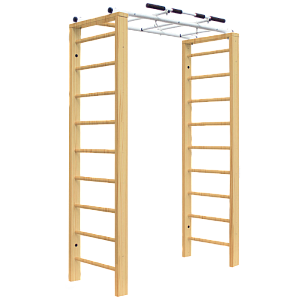 Домашний комплекс с рукоходом Luca